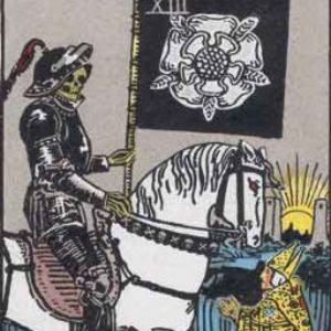 Meet your Posher, Indigohealingtarot23